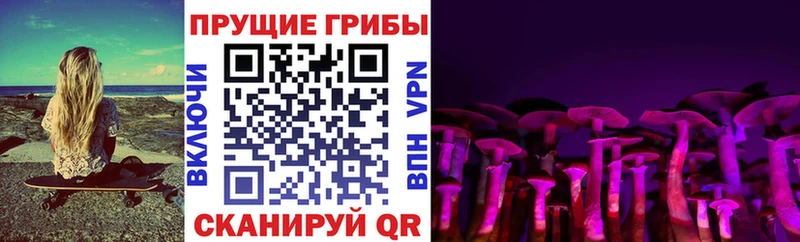 Псилоцибиновые грибы Magic Shrooms  купить  цена  Похвистнево 